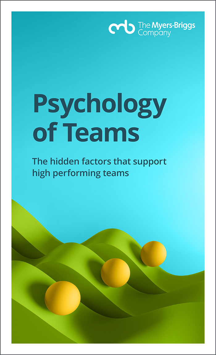 Psychology of Teams eBook